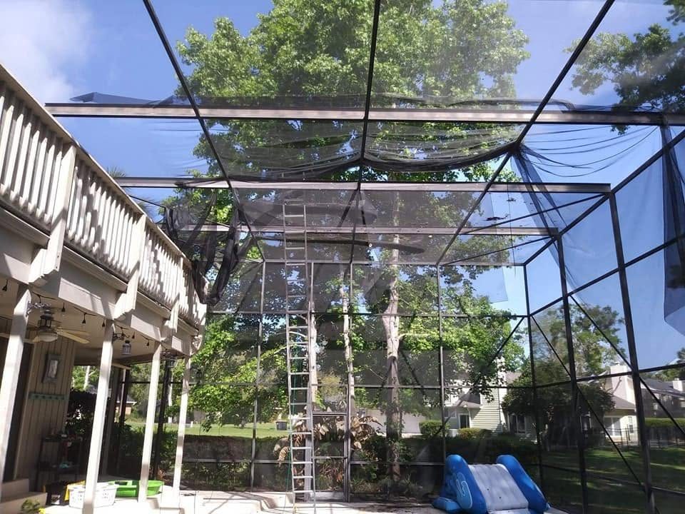 Screen enclosure framing under large oak tree canopy