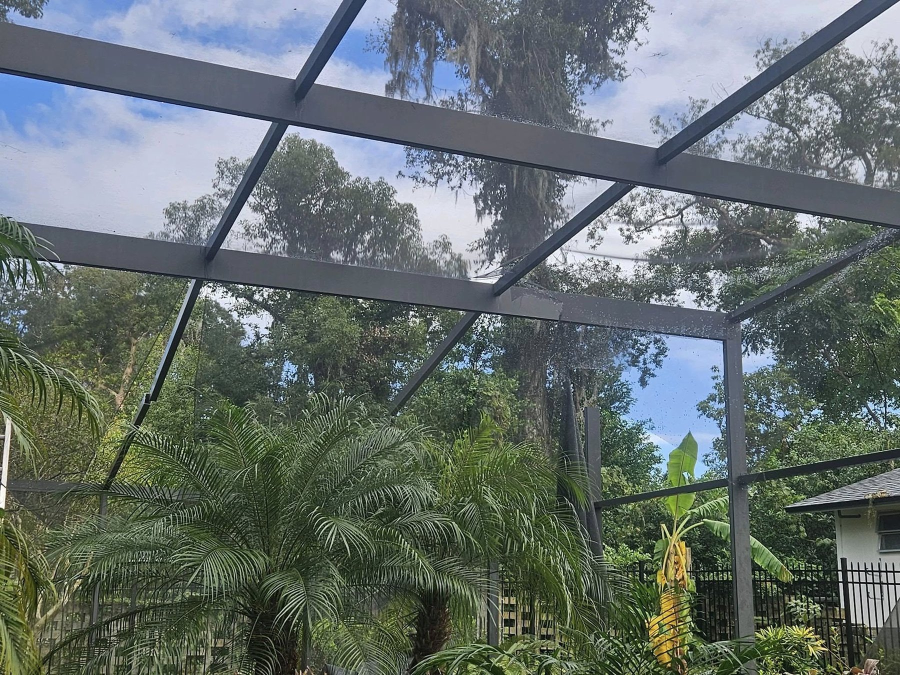 Screen enclosure roof framing viewed through tropical palm trees